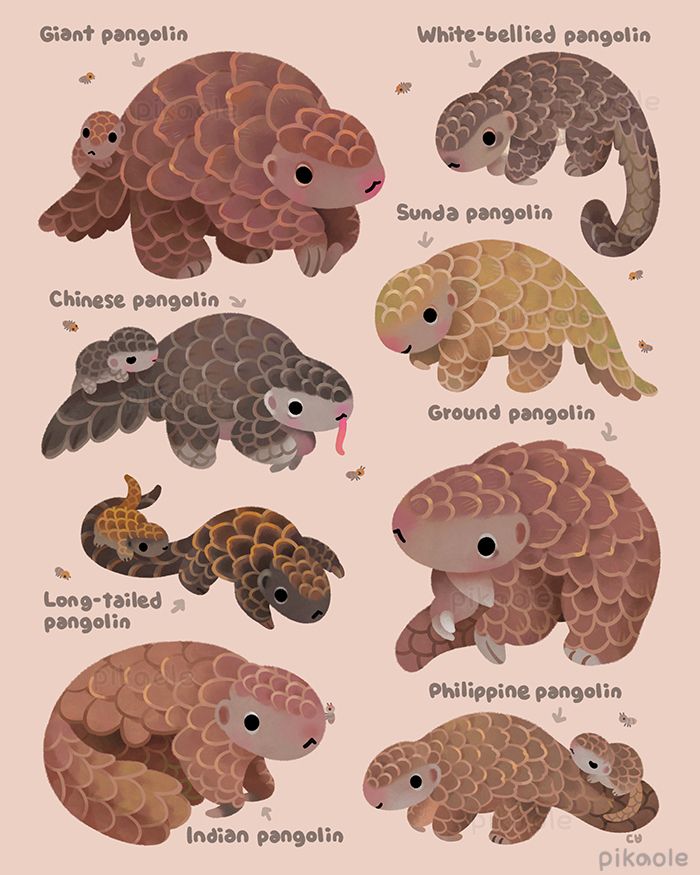 There are various Pangolins on a beige background.
(Giant Pangolin, White-bellied Pangolin, Chinese Pangolin, Ground Pangolin, Sunda Pangolin, Long-tailed Pangolin, Indian Pangolin, Philippine Pangolin)
Some have babies riding on their tails.
There are also small termites around.