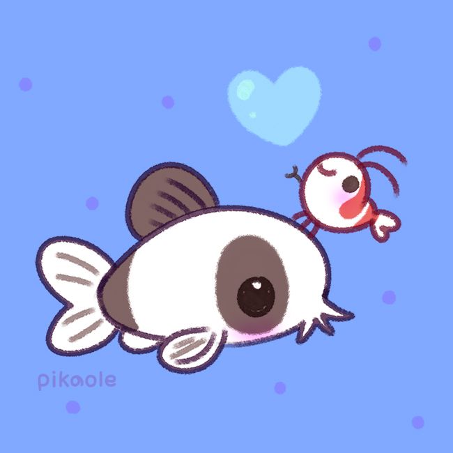 A shy shrimp is on top of a Corydoras panda. It has made a little heart with water droplets.