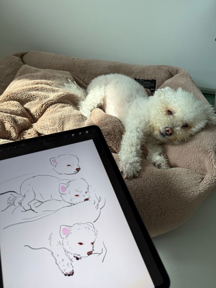 My dog ​​Yallet. I'm drawing a sleeping dog on my iPad. He stretches for a moment and then falls asleep again.