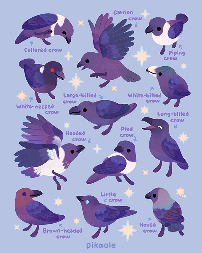 A variety of crows based on real species are on a pastel background. The surroundings are filled with sparkly effects that crows love. The birds are smiling gently or playfully and look happy and joyful.