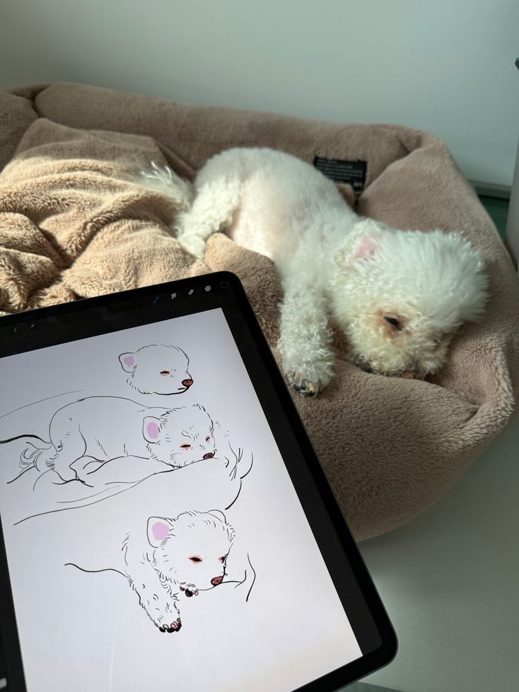 My dog ​​Yallet. I'm drawing a sleeping dog on my iPad. He stretches for a moment and then falls asleep again.
