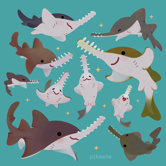 Several types of Sawfish on a green background.   All species of sawfish are endangered or critically endangered.

Species : Narrow sawfish, Dwarf sawfish, Smalltooth sawfish, Green sawfish, Largetooth sawfish