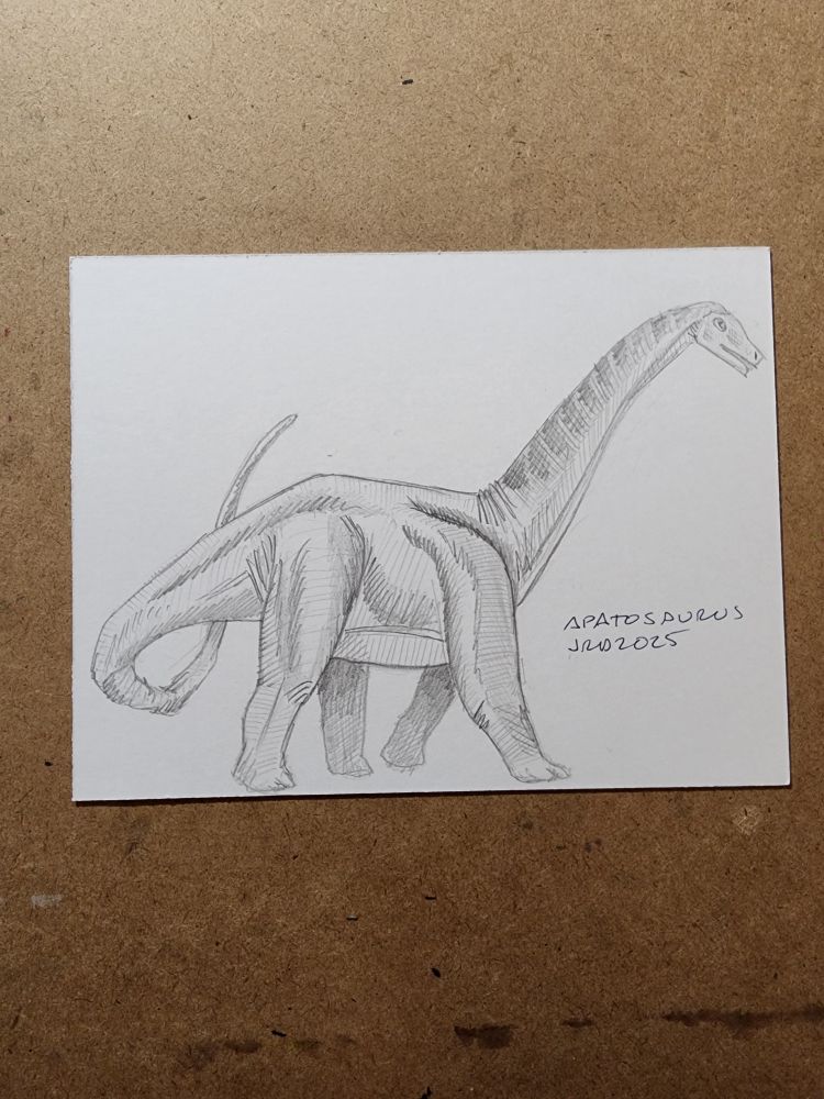 A pencil sketch by Robert Deans of the late Jurassic era herbivore, the Apatosaurus.