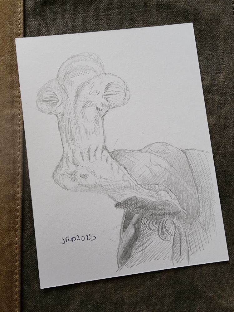 A pencil sketch by Robert Deans of the Hammerhead Momaw Nadon from the Cantina scene in Star Wars