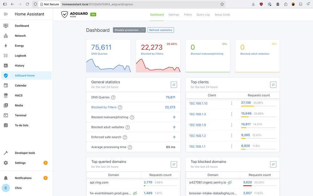 Screenshot of AdGuard Home running in a container through Home Assistant