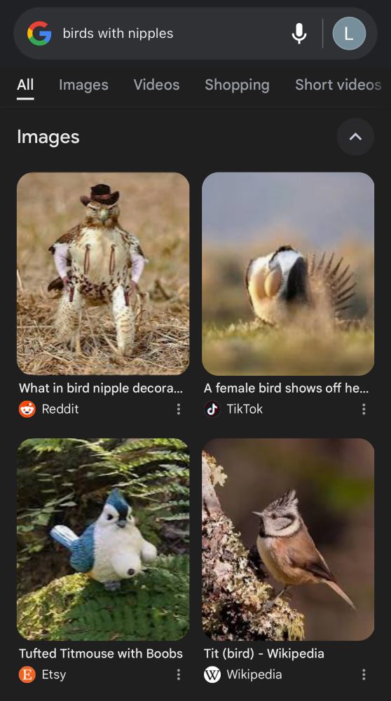 a screenshot showing the google search results for the phrase “birds with nipples”