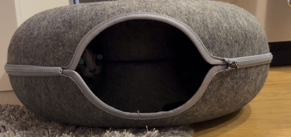 A pair of glowing eyes in the donut