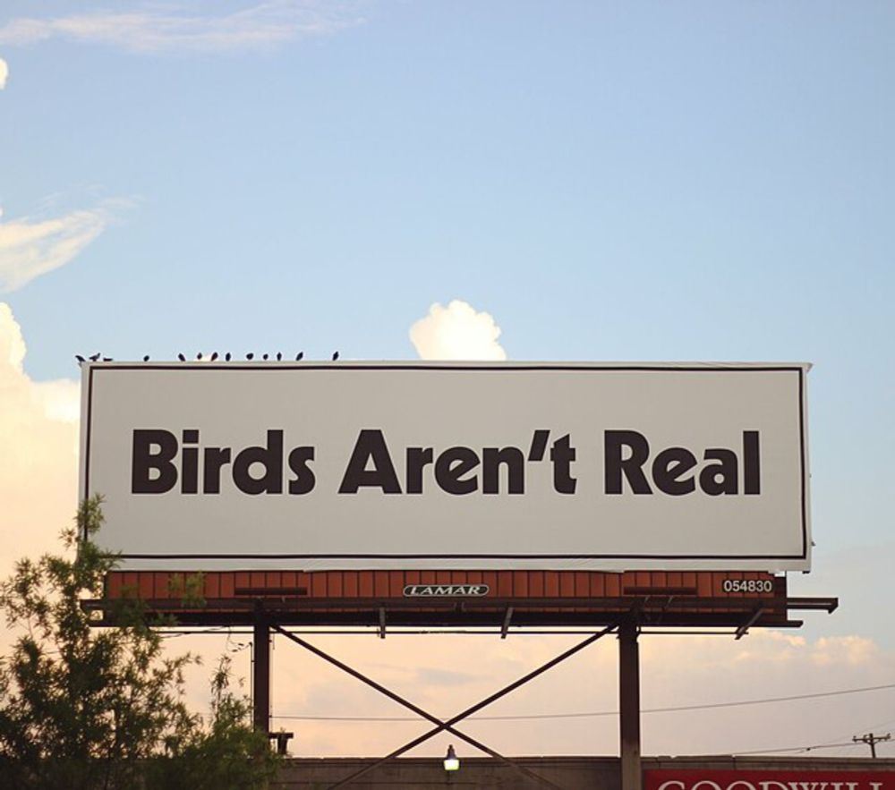 Birds Aren't Real - Wikipedia