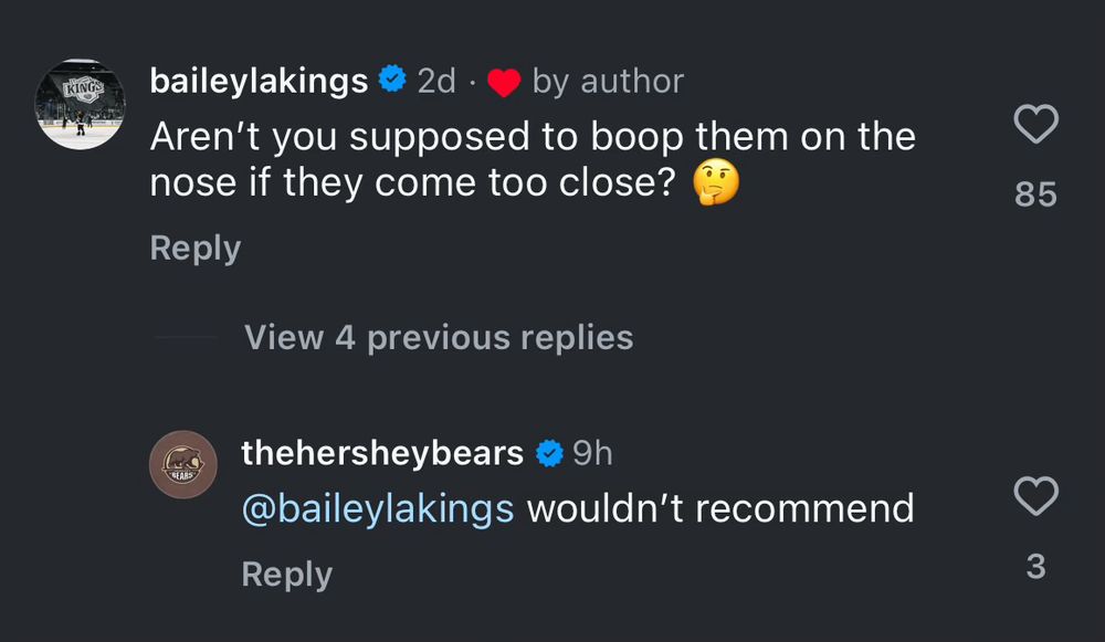 Screen cap from Instagram: Baileylakings posts: aren’t you supposed to boop them on the nose if they come too close. The Hershey bears respond: wouldn’t recommend. 