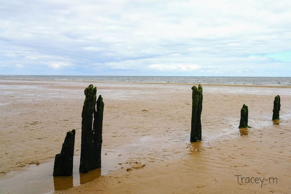 Five weathered wooden posts stand in a sandy beach, with a calm sea and cloudy sky in the background.