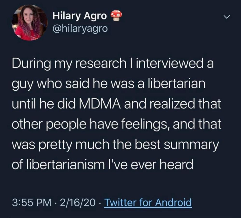 Screenshot of tweet by Hilary Agro (@hilaryagro). Text: During my research I interviewed a guy who said he was a libertarian until he did MDMA and realized that other people have feelings, and that was pretty much the best summary of libertarianism l've ever heard