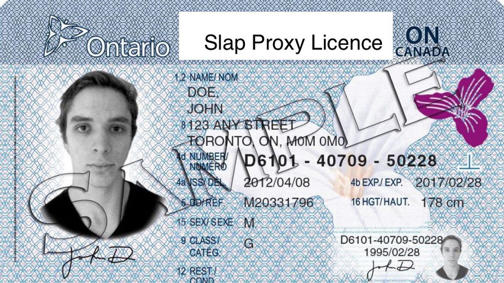An image of a sample Ontario (Canada) driver's license card in the name of John Doe. There's a white rectangle crudely edited onto the top row upon which the typed text "Slap Proxy Licence" appears