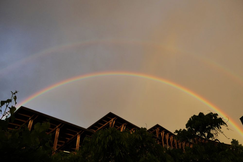 The image shows a rainbow in an orange evening sky over some buildings and leaves of shrubs. Close inspection shows a second (secundary) rainbow above the main one. It was the first (brief) shower of rain in many weeks. Overall spring has been exceptionally dry here.