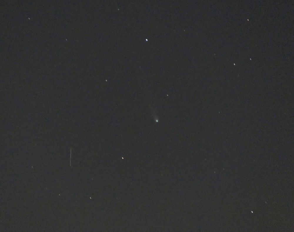 The image shows a dark sky with some stars, comet C/2025 A6 (Lemmon) in the centre and a Starlink at lower left. A number of them passed through the camera's view.
