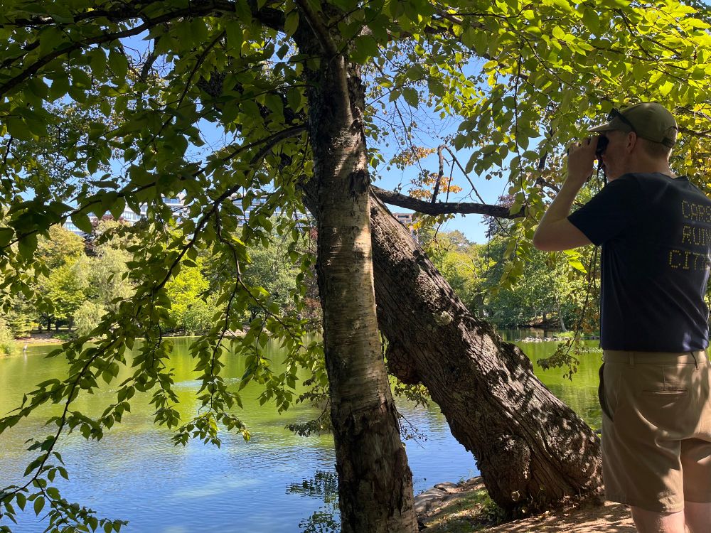 A man watches the heron. He’s wearing a shirt that says “cars ruin cities” on the back