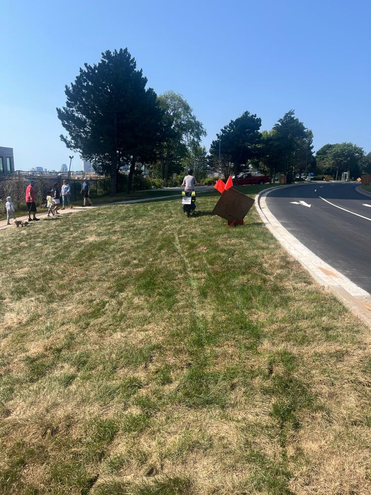 The grassy area off Alderney Dr near King’s Wharf. New grass is now where a desire line used to be.