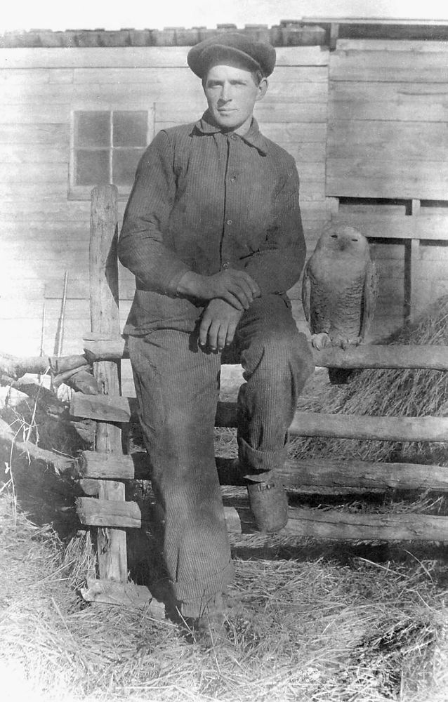 An old picture of a farmer sitting on a fence with his pet Snowy Owl 