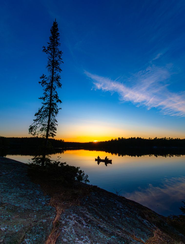 a canoe on the lake at sunset with a Black Spruce in the left of the frame