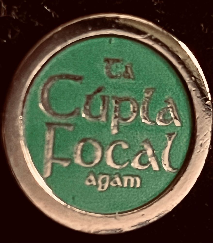 Ta cúpla focal agam badge