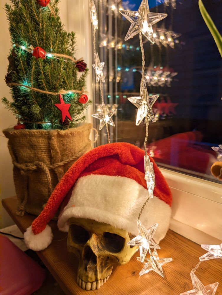 Photo of a (fake) human skull on a windowsill wearing a santa hat. Some strings of glowing christmas lights in star form are around it. In the background is a small christmas tree