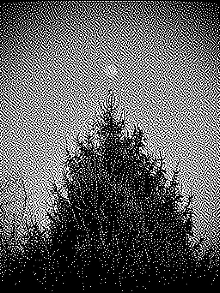Photo of the moon peering just above the top of an evergreen tree at sunset. Rendered in black and white with an Atkinson dither.