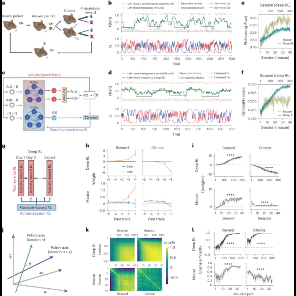 Meta-reinforcement learning via orbitofrontal cortex - Nature Neuroscience