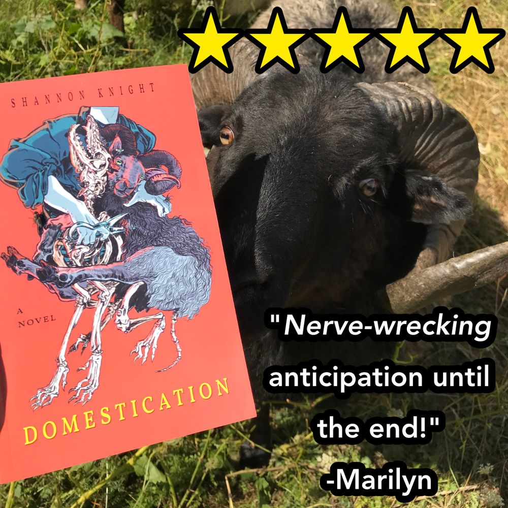 Nerve-wrecking anticipation until the end! -Marilyn. Five stars. Photo of the paperback of Domestication by Shannon Knight with a black ram nosing it