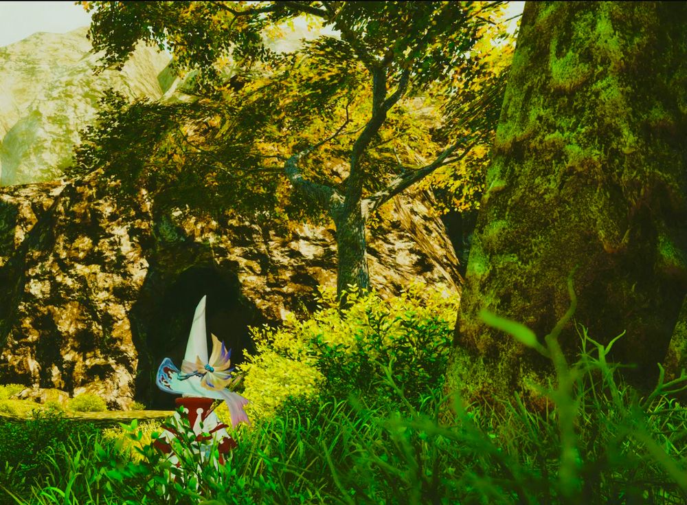 2025 1115 ドラヴァニア高地