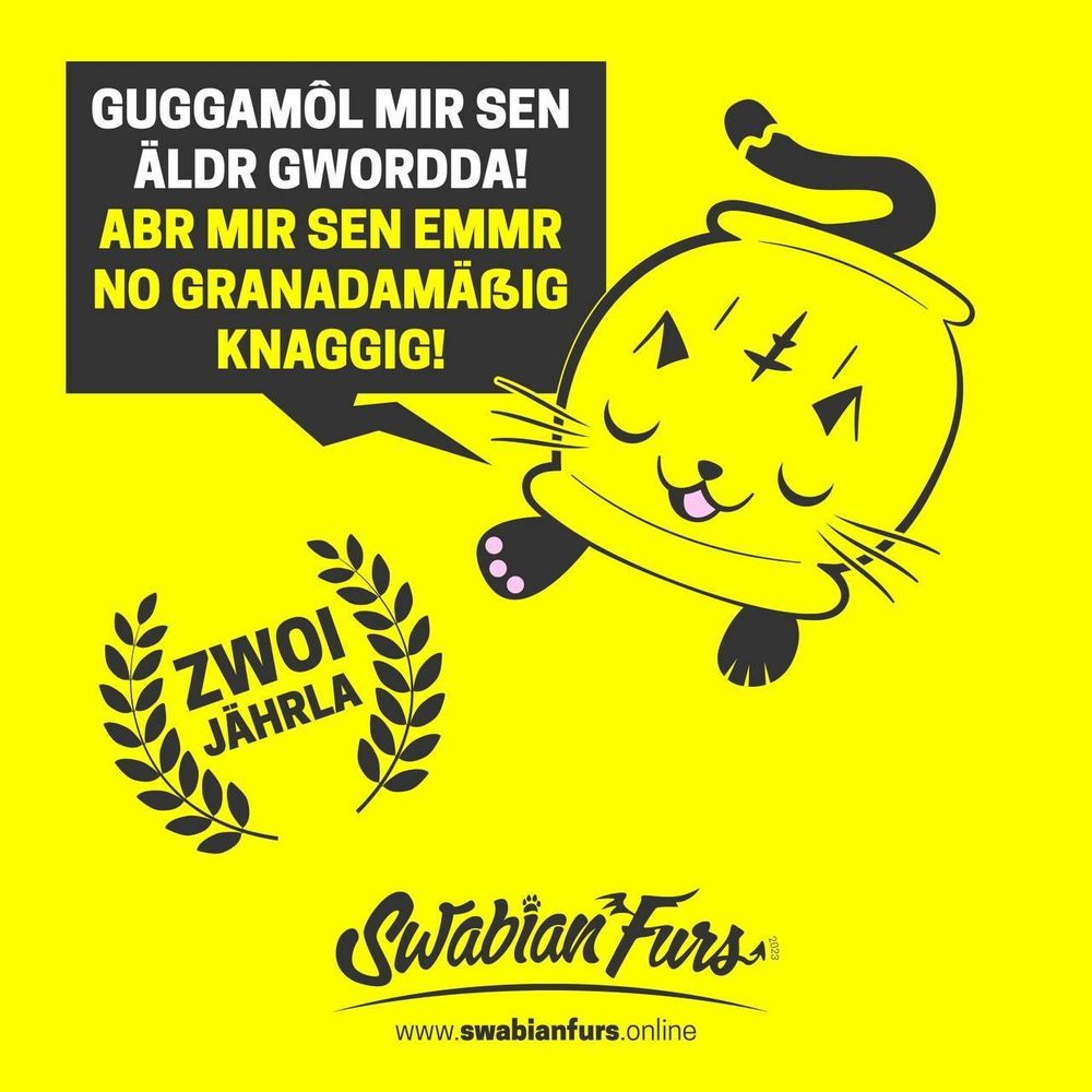 Eine Grafik mit gelben Hintergrund. Im Fokus ist Mauli, ein Maulkätzchen (also eine Katze, in Form einer Maultasche) welche die Augen geschlossen hat, eine Pfote ausstreckt und glücklich sagt: "Guggamôl mir sen äldr gwordda! Abr mir sen emmr no granadamäßig knaggig!" 

Weiter unten ist das SwabianFurs Logo und die Verkündung von "Zwoi Jährla"! 