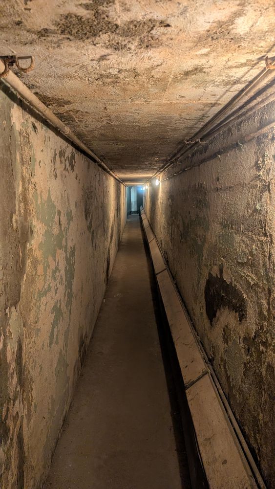 Tunnels below the house lead to private rooms for Hartness’s work. 