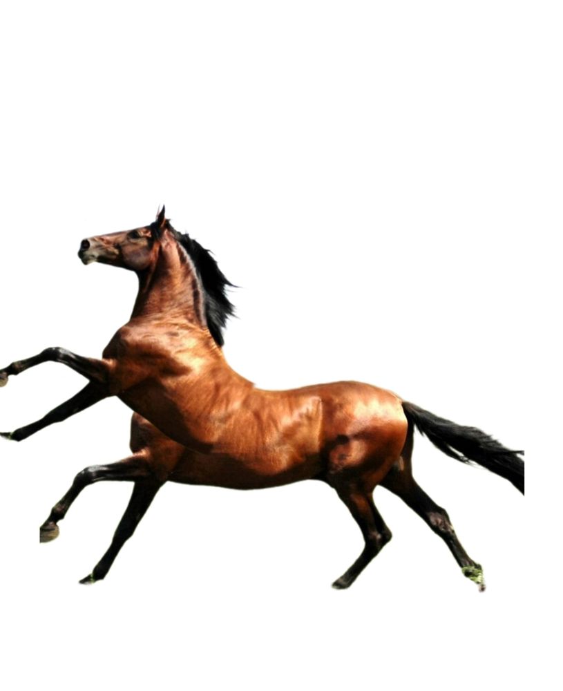 Comment image