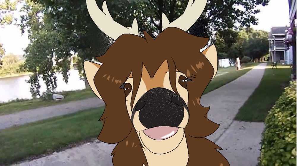 The deer stares right through you. Not a thought behind those eyes