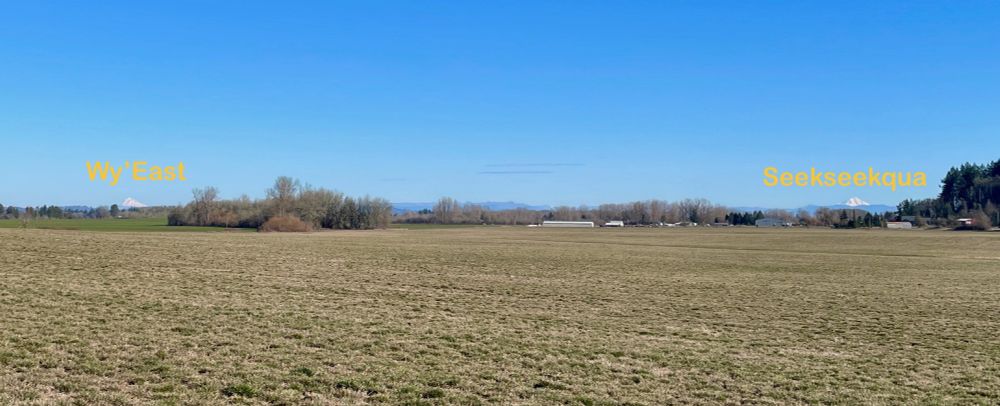 Cascade peaks Wy'East and Seekseekqua
