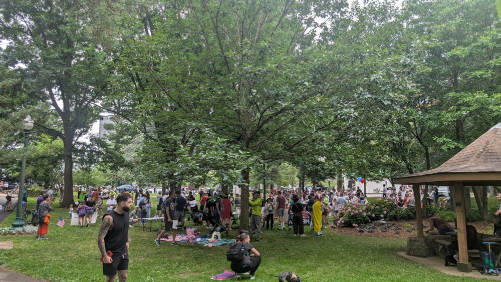Picture of a No Kings Day rally at a park crowded with families.