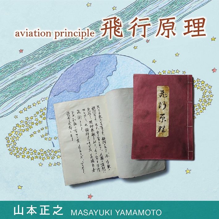 aviation principle (2019)