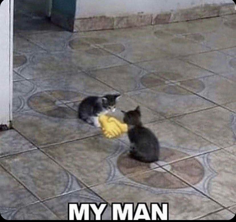 Comment image