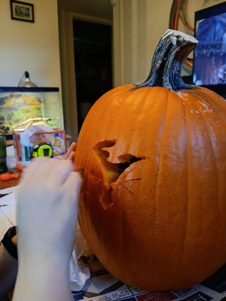 A pumpkin being carved. 