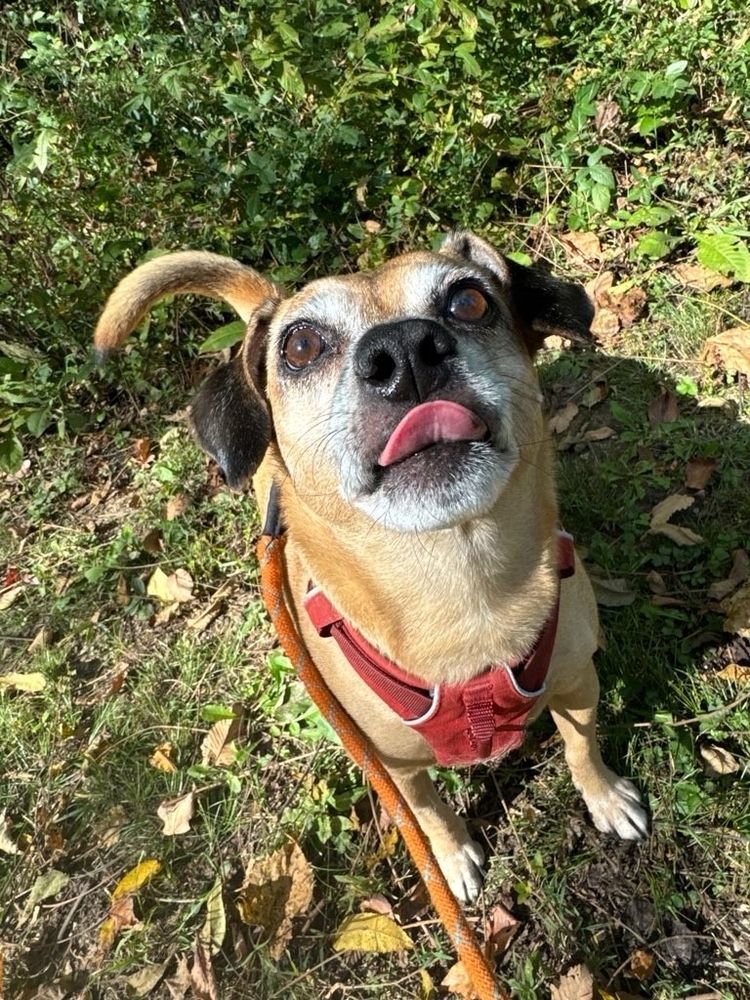 Bill almost licking his nose