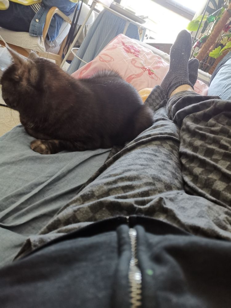 Cat sharing the sofa with me. Legs wedged to the right.  