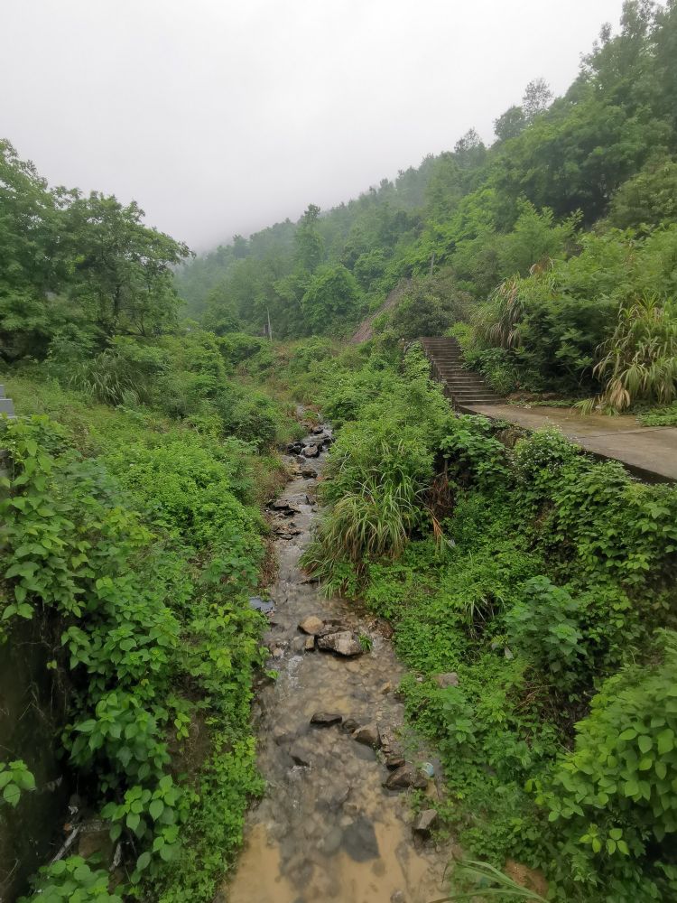 A small river running out of the mountain through a green tree lined valley misty mountain in the distance 
