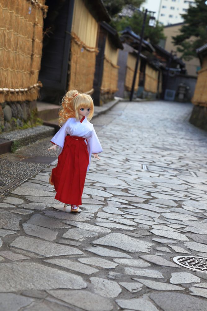 #dollbot #ddh01 #angelphilia #ちるるっ娘 #長町武家屋敷跡