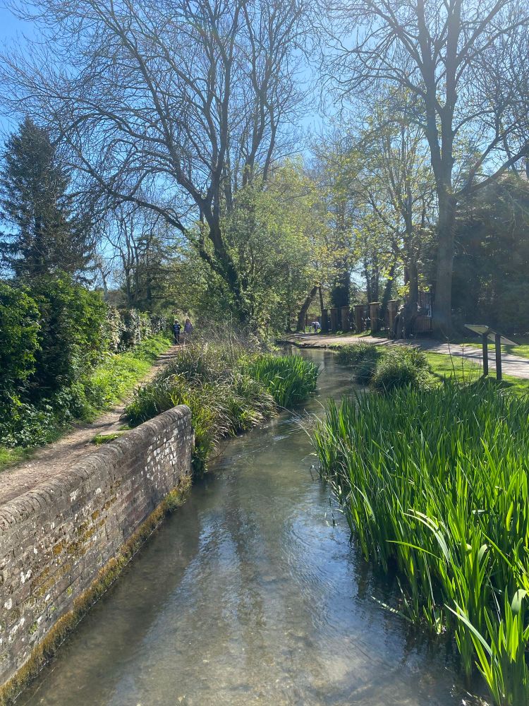 The Misbourne chalk stream in Old Amersham. Placid shallow stream flowing through the centre of town in lightly wooded gardens next to the churchyard. 