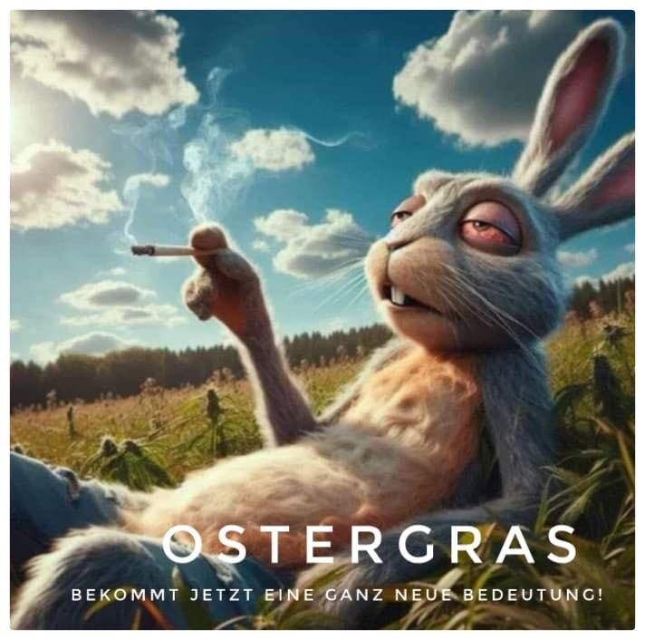 Hase mit Joint auf der Wiese „Ostergras bekommt jetzt eine ganz neue Bedeutung „