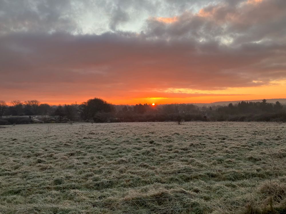 Photo of the sun rising over a frosty field