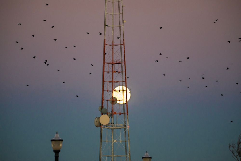 A tall communication tower with red and white sections stands against a dusk sky, appearing to cradle the full moon within its frame. A flock of black birds flies across the scene, and two streetlights are visible near the bottom of the image. The sky transitions from pink to blue, adding a serene yet dramatic backdrop