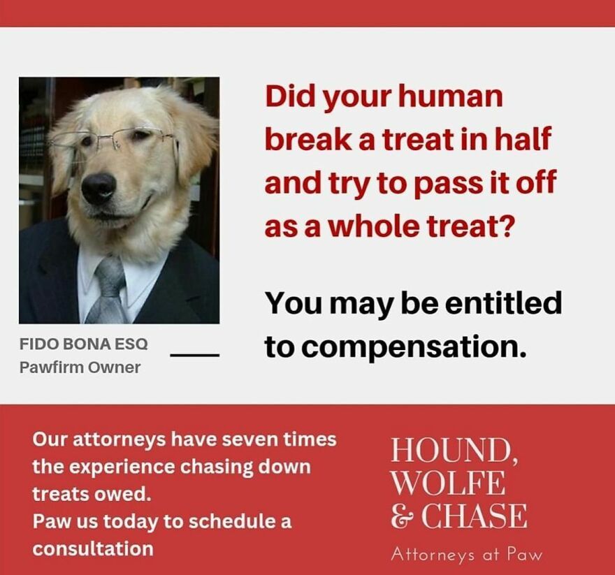 Picture of a dog in a suit, wearing glasses.

Did your human break a treat in half and try to pass it off as a whole treat? You may be entitled to compensation. 
