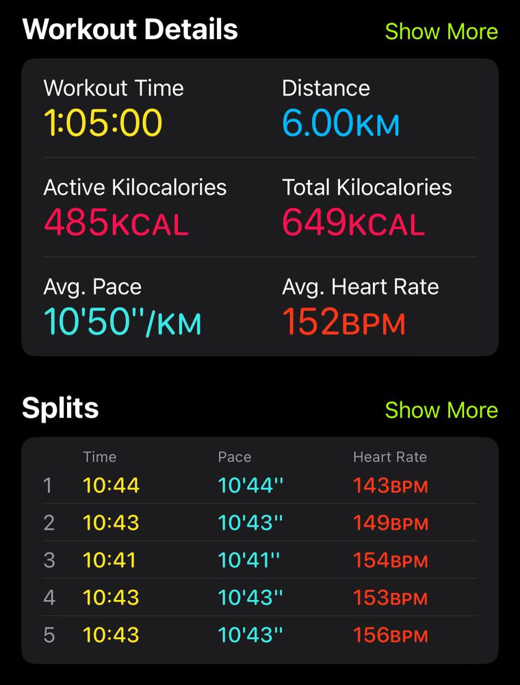 Apple Fitness screenshot showing a 1h5min long workout that went 6.00km