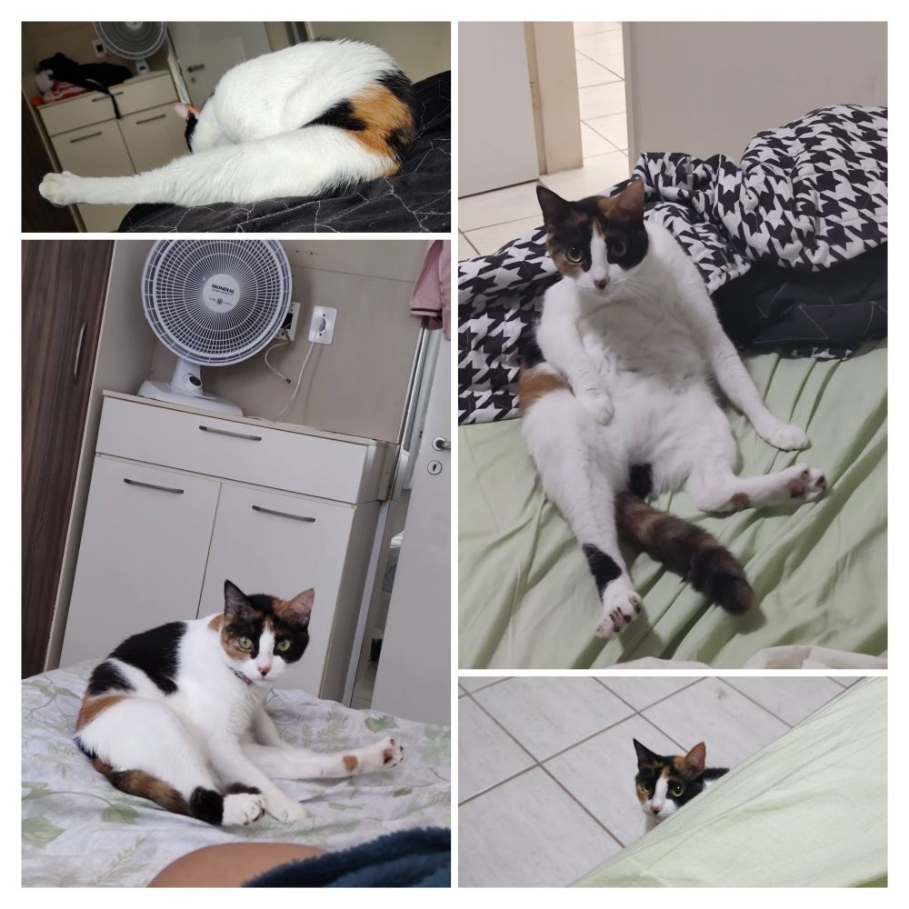 Expondo ela pq ela vem tomar os banhos do meu lado