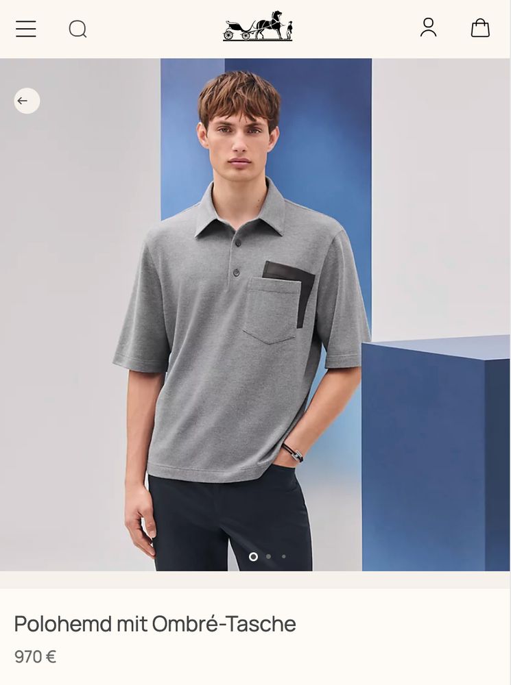 Screenshot von Hermes Webseite. Mann trägt graues Polohemd, Preis: 970 €.