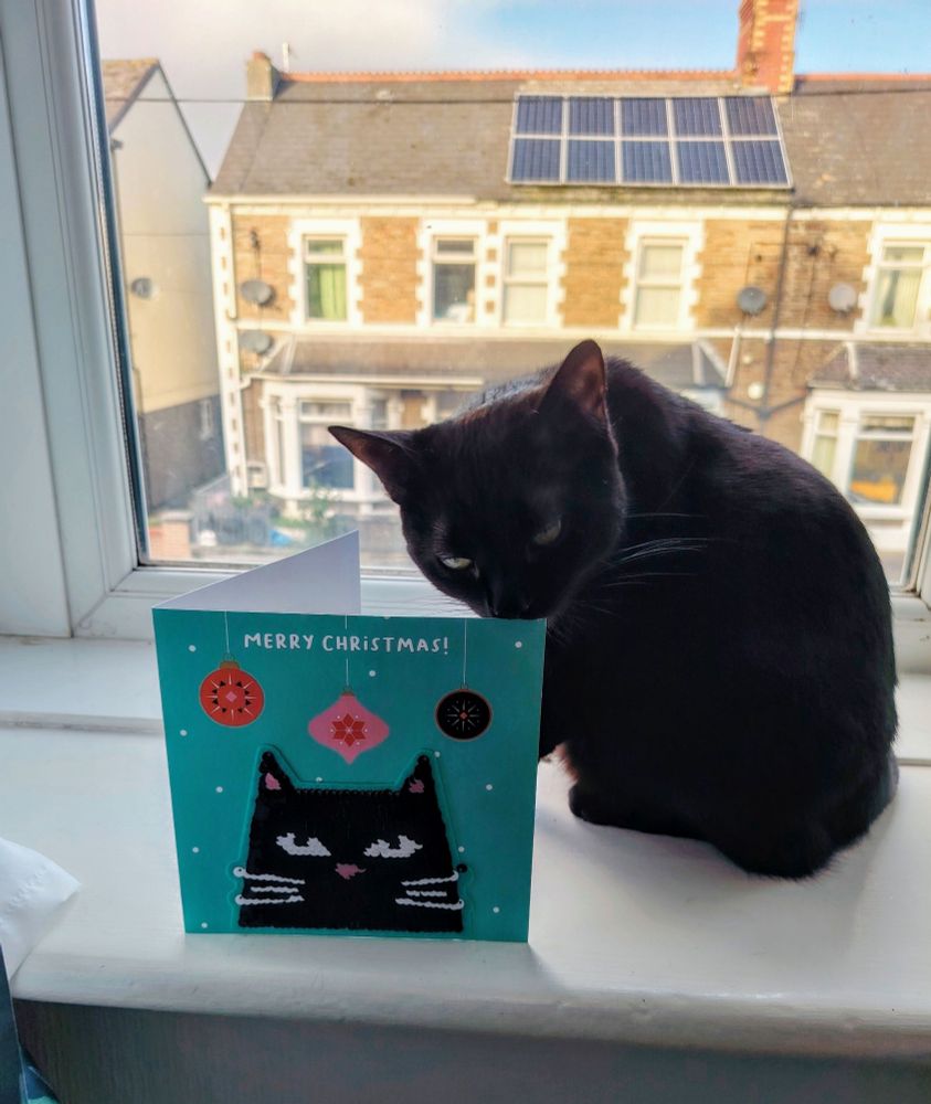 Black cat sitting on a windowsill overlooking terraced houses on a suburban. A greetings card with the words 'Merry Christmas!' on the front and an illustration of a black cat's face beneath some Christmas ornaments on a green snowy background is on the windowsill. The cat appears to be examining the card.